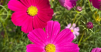 訪問介護の風景